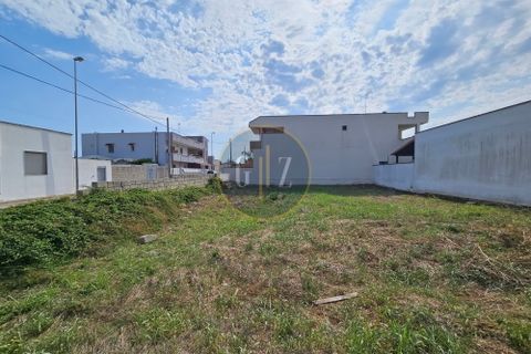 Terra a Melendugno, Lecce, Melendugno - € 65.000 | Ref: SE003 - foto 7